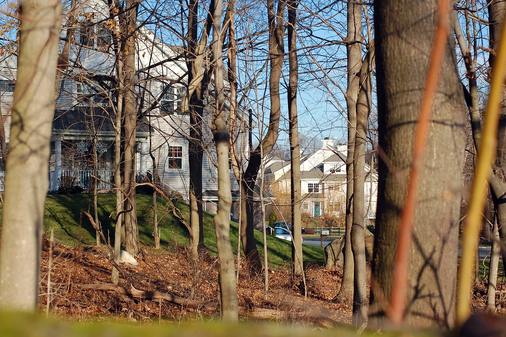Chapel Hill Homes from Maple Avenue Scott Alan Miller Flickr