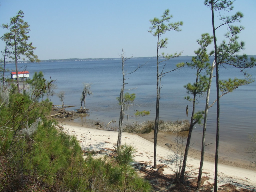 Camp 1 Pamlico River in Washington, NC KC WIlliams Flickr