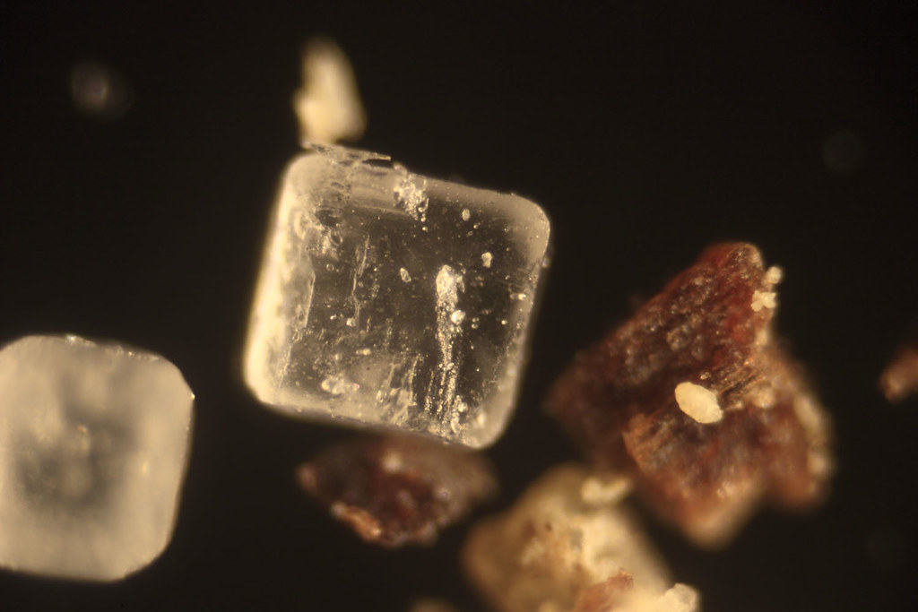 Salt & Pepper Grains of salt and ground pepper under micro… Ben