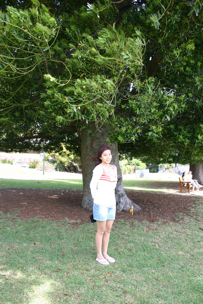 chicken coop sydney! Tran Ngoc Phung Flickr