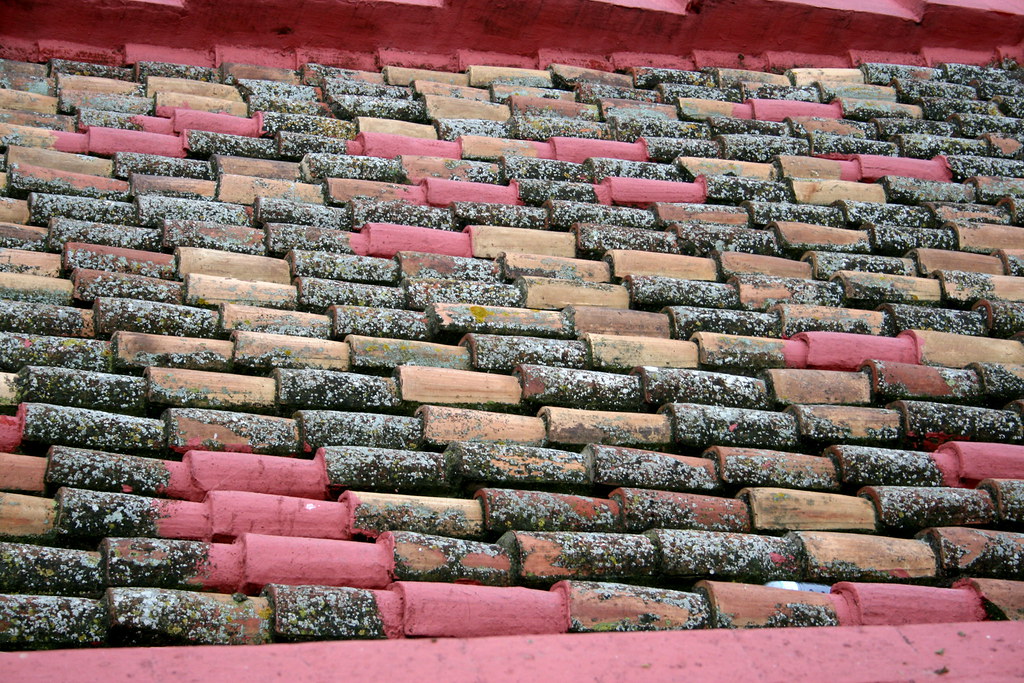 Roof Tiles Glen Scott Flickr
