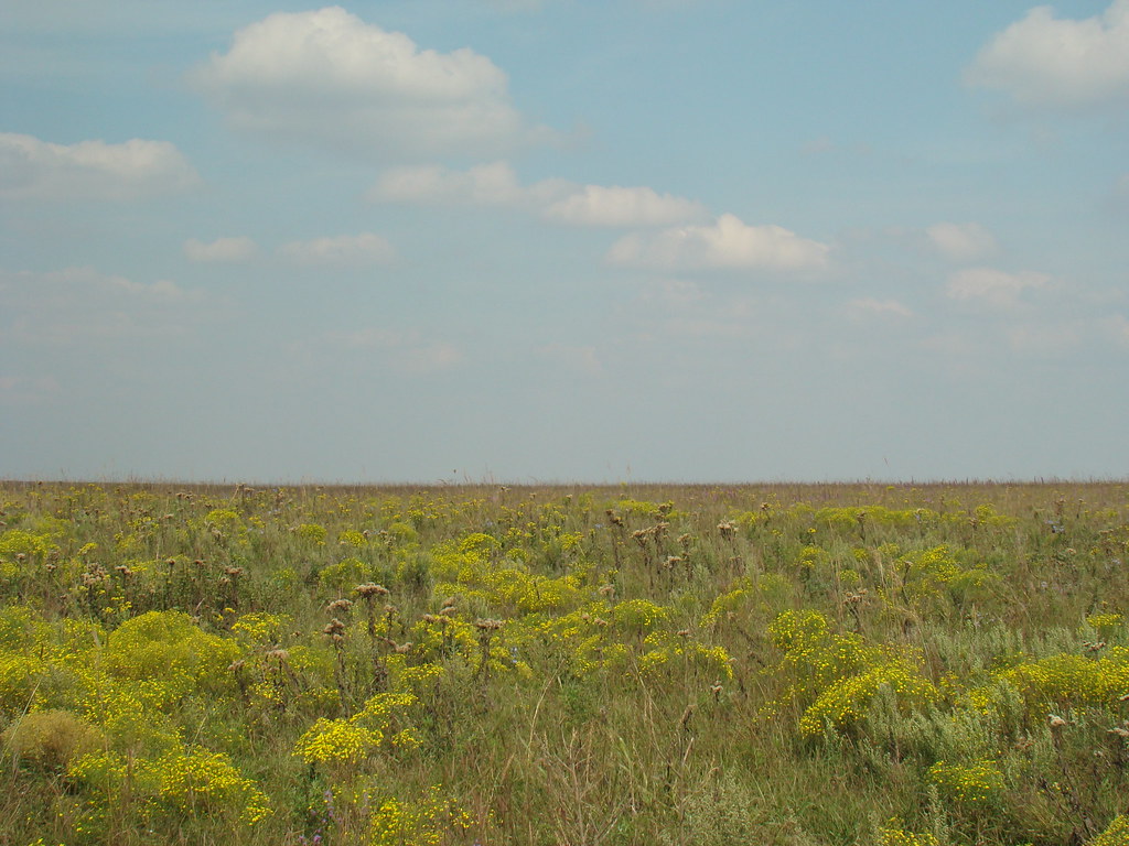 Prairie Vista Across the prairie to Kenbro, KS by dirt roa… KSWanderer Flickr
