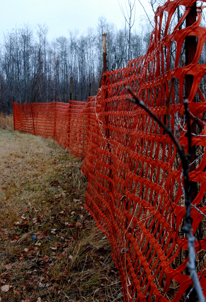Orange Fence Cooking Lake Blackfoot Recreation Area Joseph