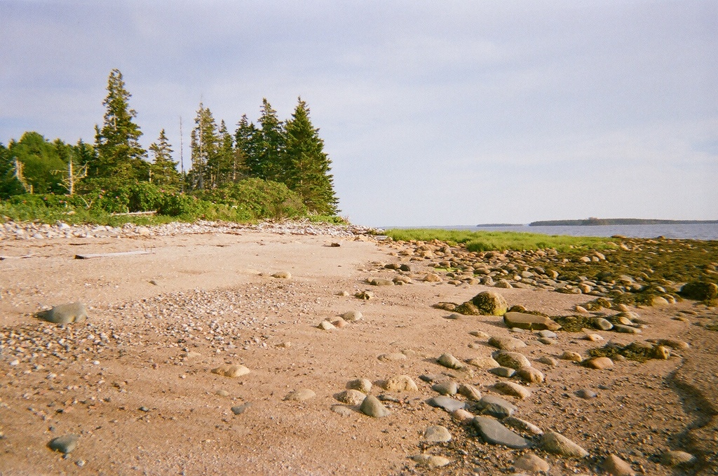 Birch Island shore a photo on Flickriver