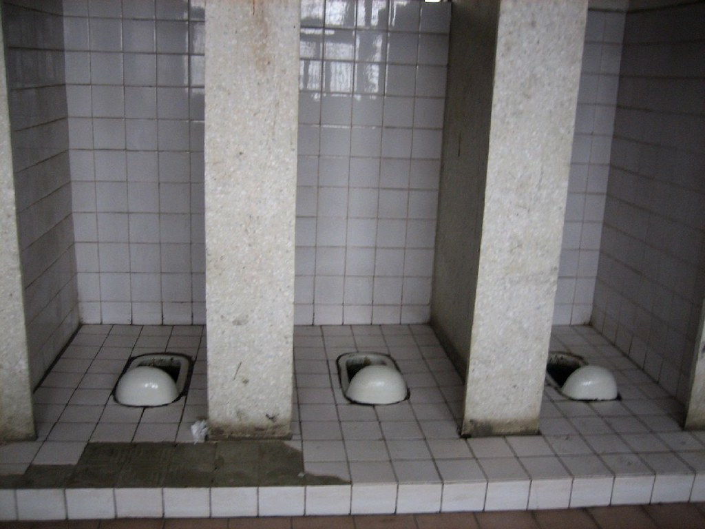 the wall toilets The Great Wall of China Melinda van den Brink Flickr