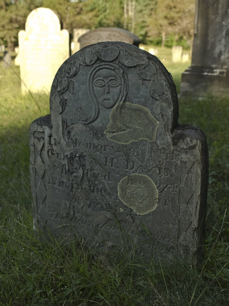 Palmer Hidden Cemetery 20080907 (9) New England Oddities Flickr