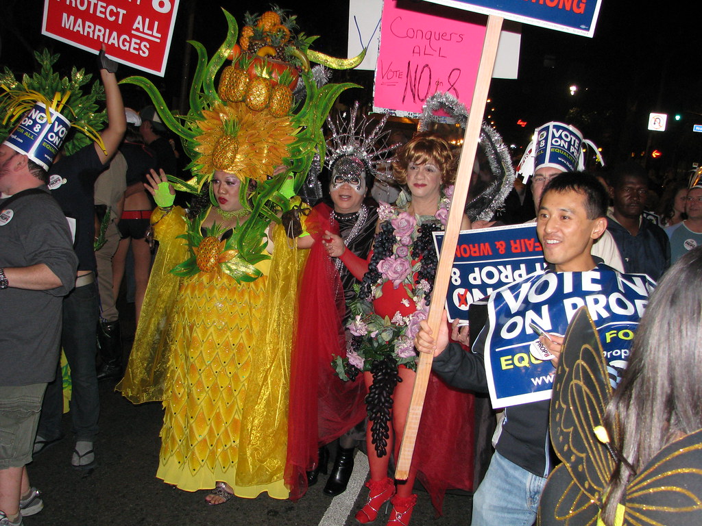 2008 West Hollywood Halloween Carnival No on proposition 8… Flickr