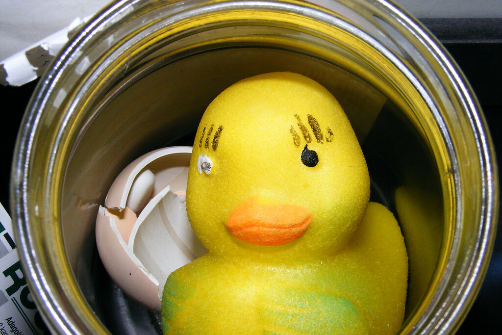 Duck egg growing pet stuck in a jar Duck egg growing pet s… Flickr
