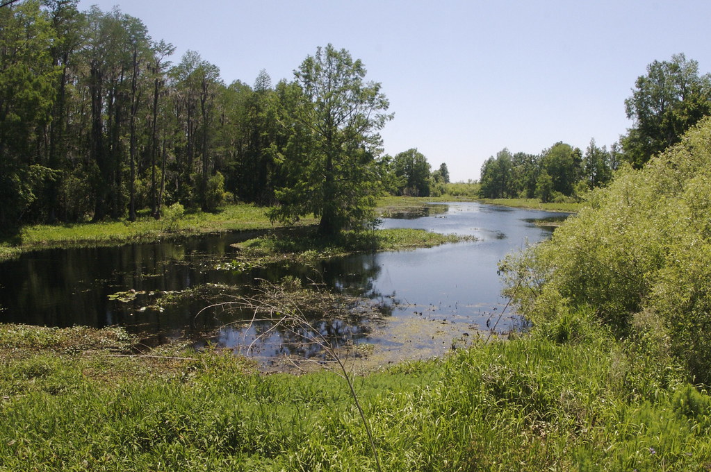 River Styx Outside Micanopy, Florida. Willy Volk Flickr