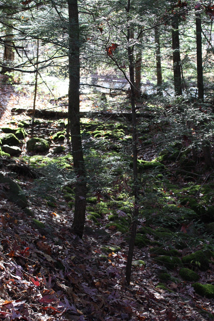 Rail Trail, West Boylston, MA Joe Forjette Flickr