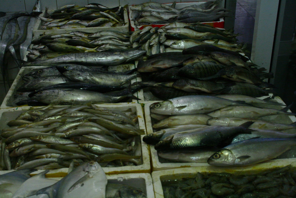 _MG_5636 karama fish market, dubai fumigene Flickr