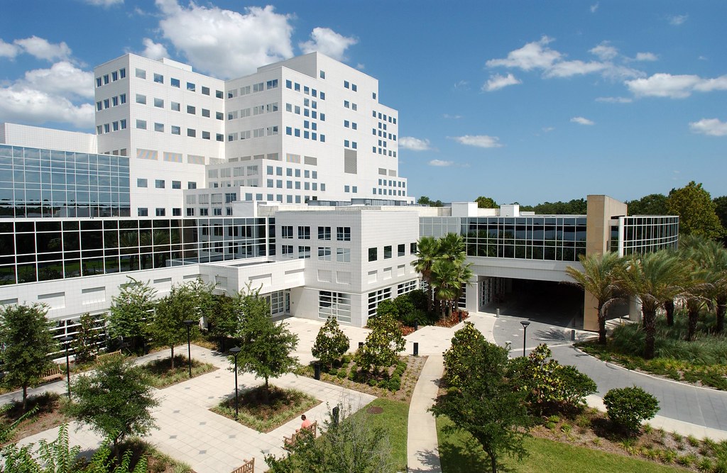 Davis Building Photo of the Davis Building at Mayo