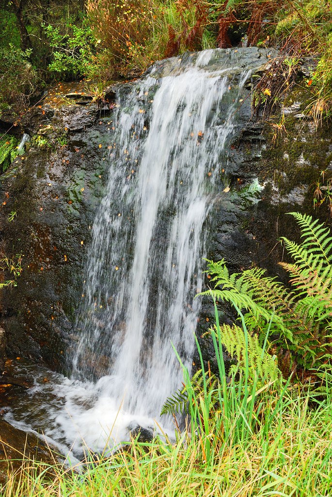 Bracken by the brackish tumbling water One of a million ov… Flickr