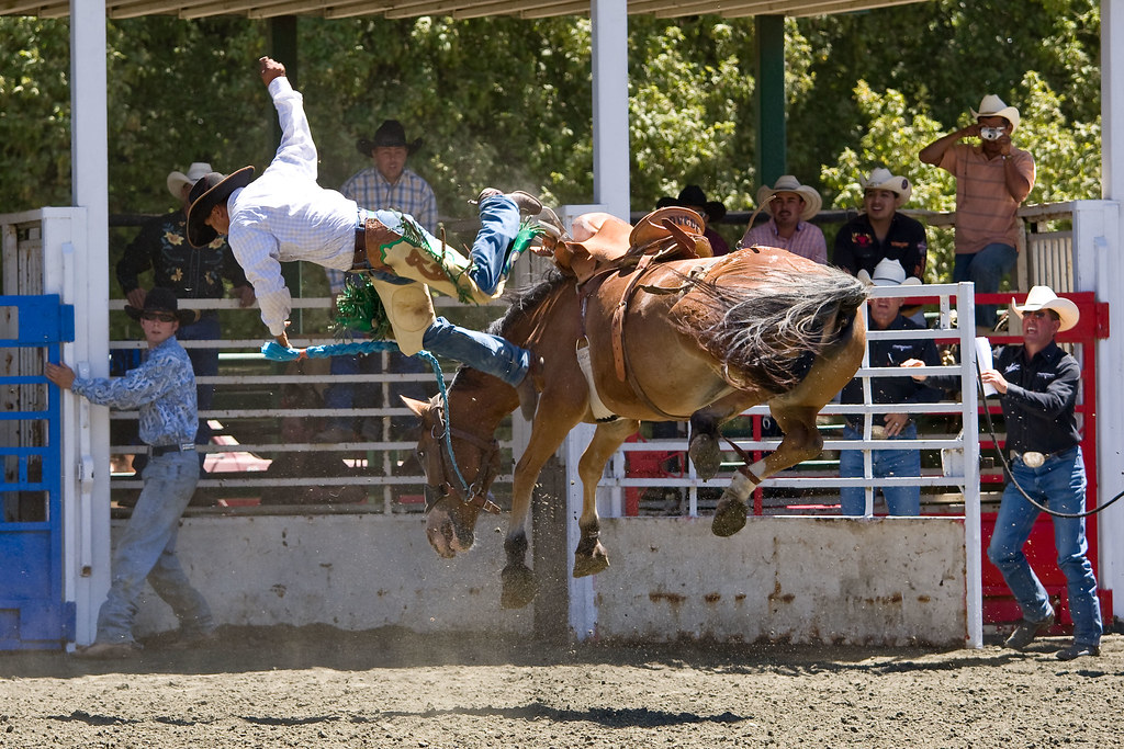 Driscoll Ranch Rodeo Saddle bronc riding, Driscoll Ranch R… Marc