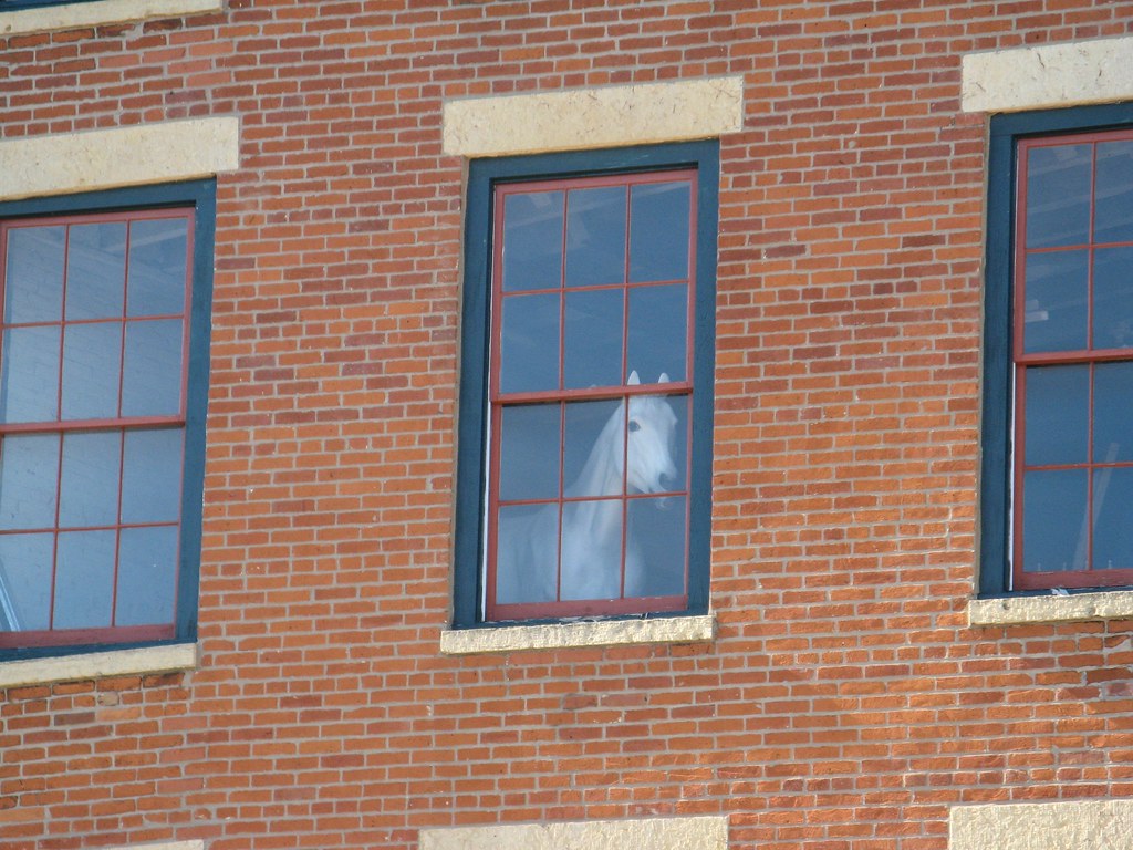 Galena Il Horse in the window He was watching us Kevin Flickr