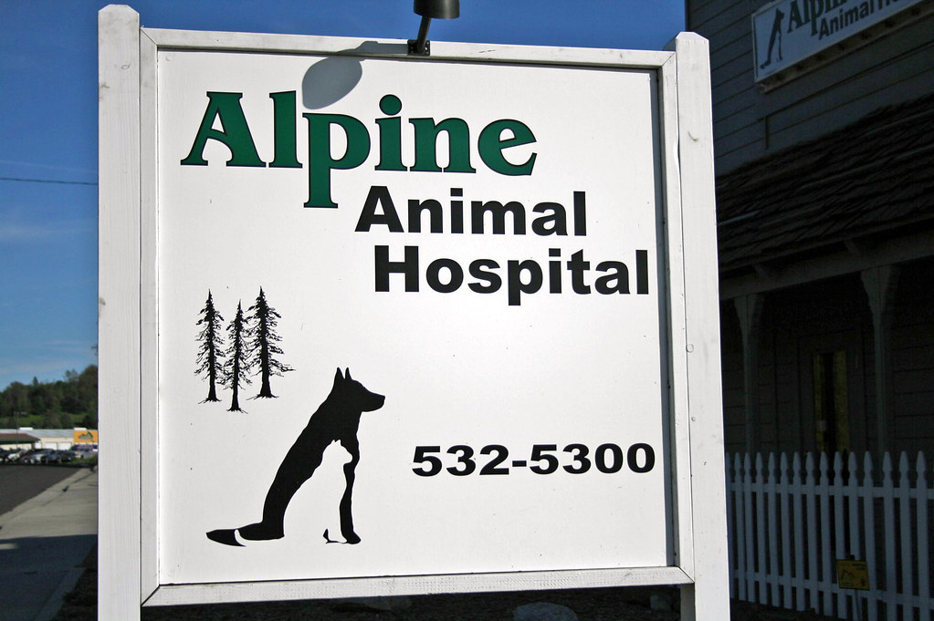 Alpine Animal Hospital Dr. Leslie Irvine Jim Hildreth Flickr