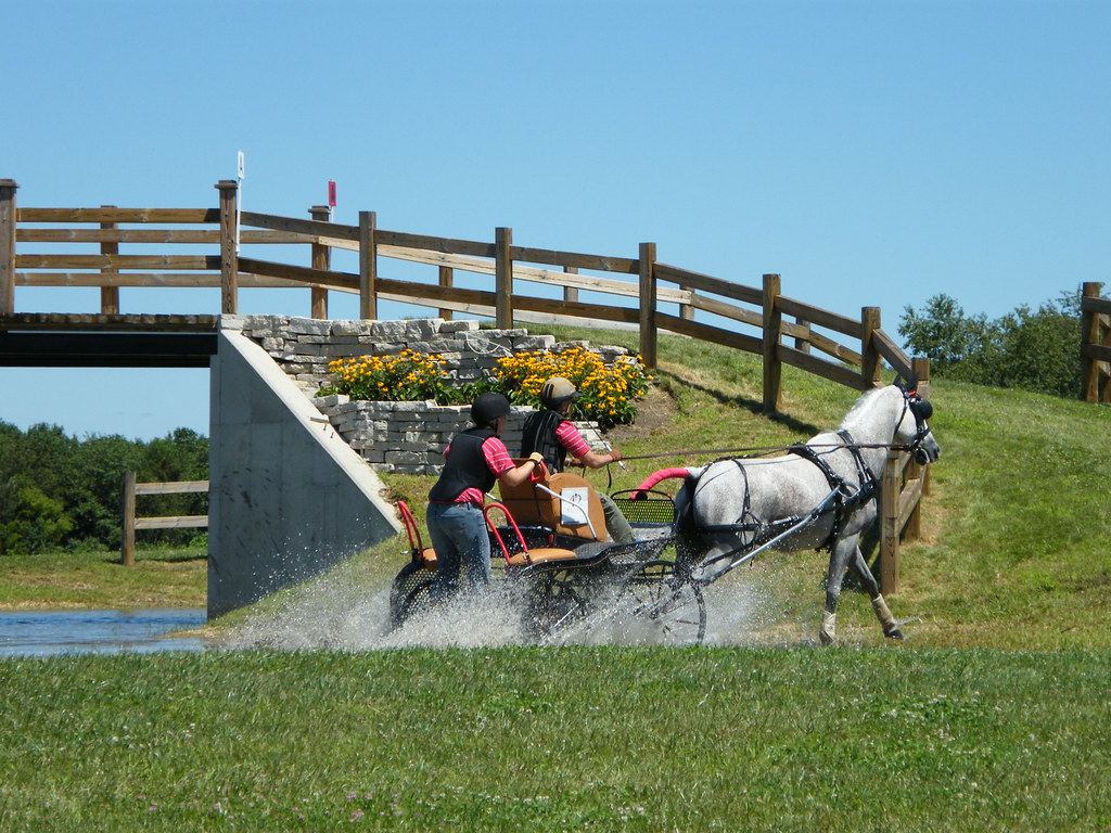 Out of the Water Iron Horse Competition Sherwood Farms, C… Flickr
