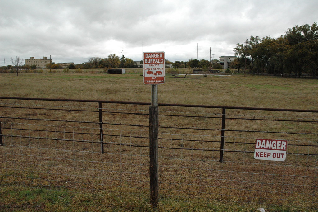 Hays Kansas town buffalo herd Hays Kansas town buffalo her… Flickr