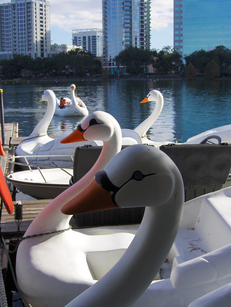Swan Boats Swan pedalboats for rent on Lake Eola in downt… Flickr