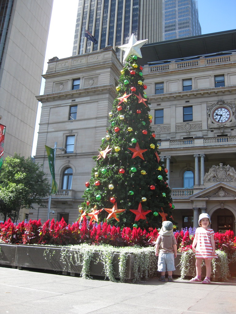 Christmas Tree Outside Customs House Phil Whitehouse Flickr