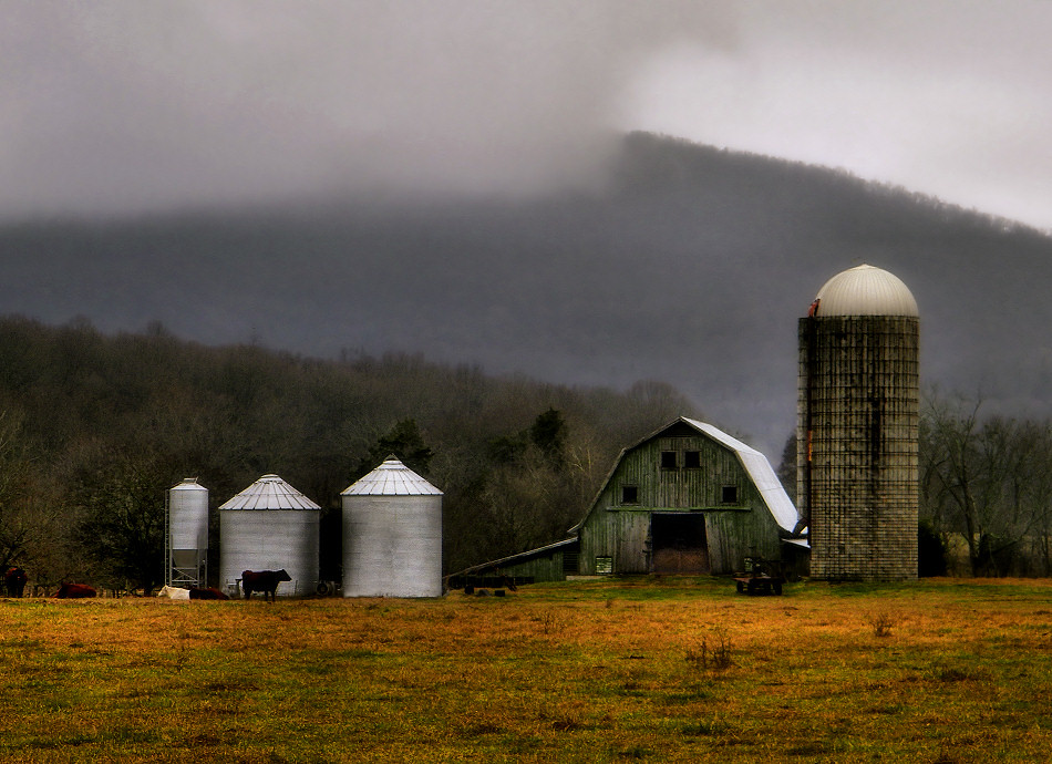 Cowan Barn In Cowan TN on a very foggy day. (Not meant to … Flickr