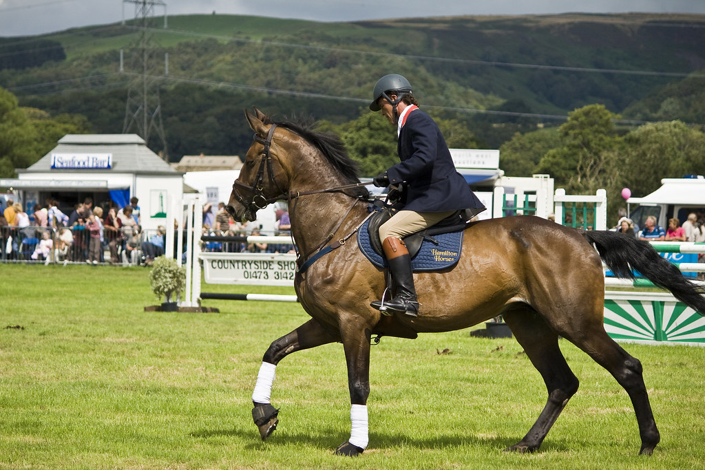 Garstang Horse Show dfrear Flickr