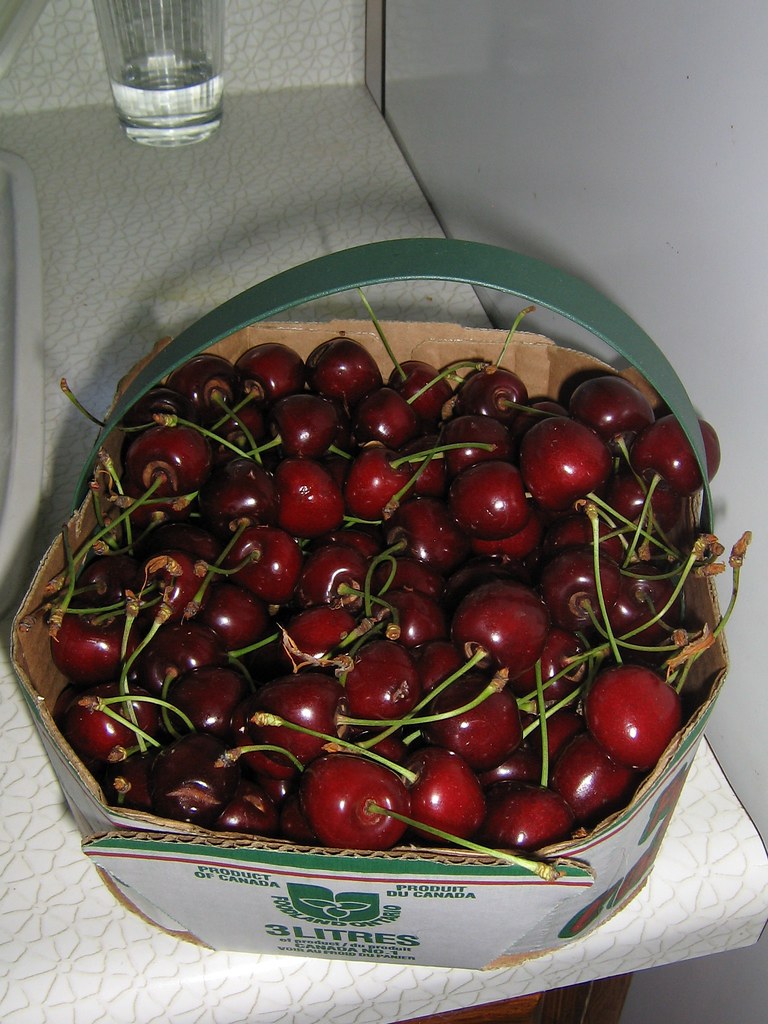 CHERRIES! Fresh from Niagara via the Farmer's Market stella_salix