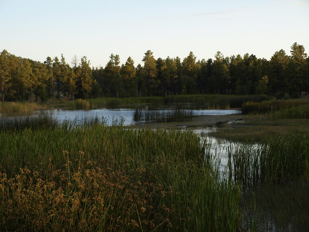 Woodland Lake at sunset At Woodland Lake Park, Ar… Flickr