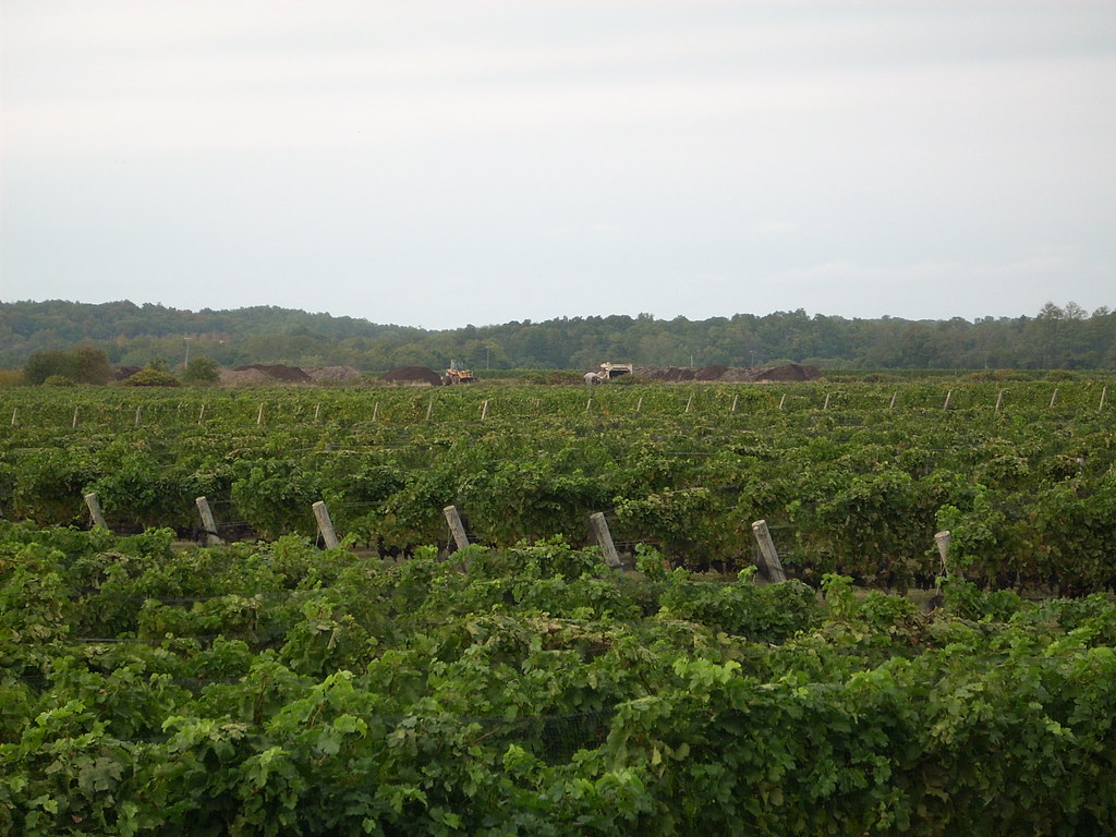 Palmer Vineyards Aquebogue Long Island NY Flickr