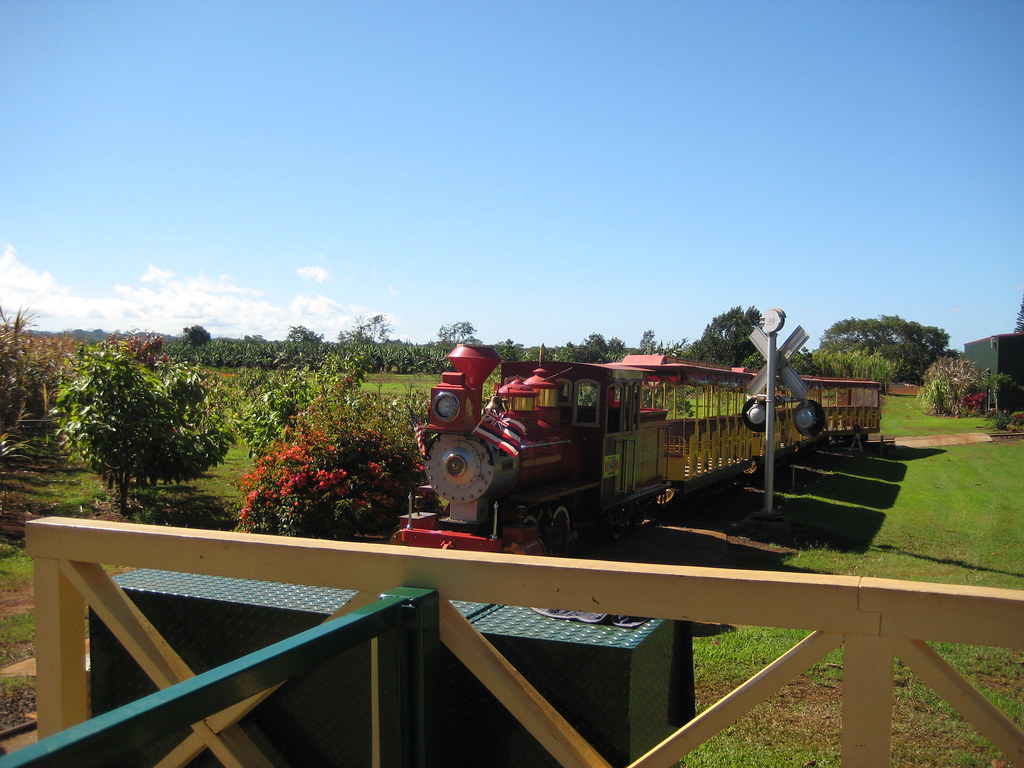 Pineapple express train Owen and Aki Flickr