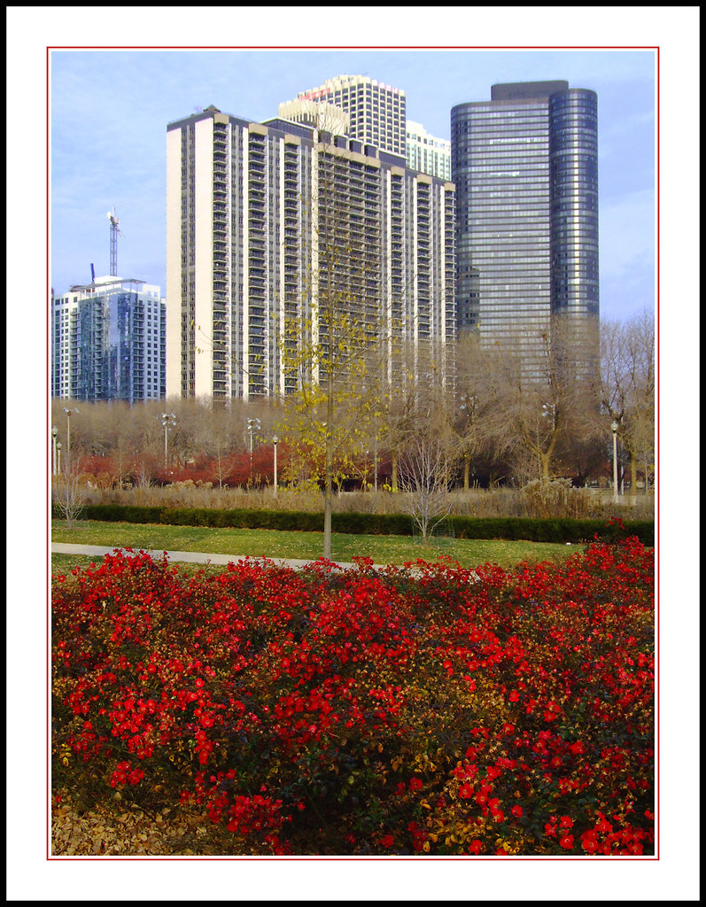 Chicago Highrises Highrises near the Lake Michigan shore… Flickr
