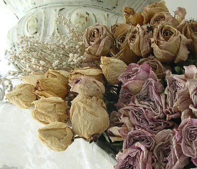 Mawar Coklat-Brown Roses | Lilis Mayasari | Flickr