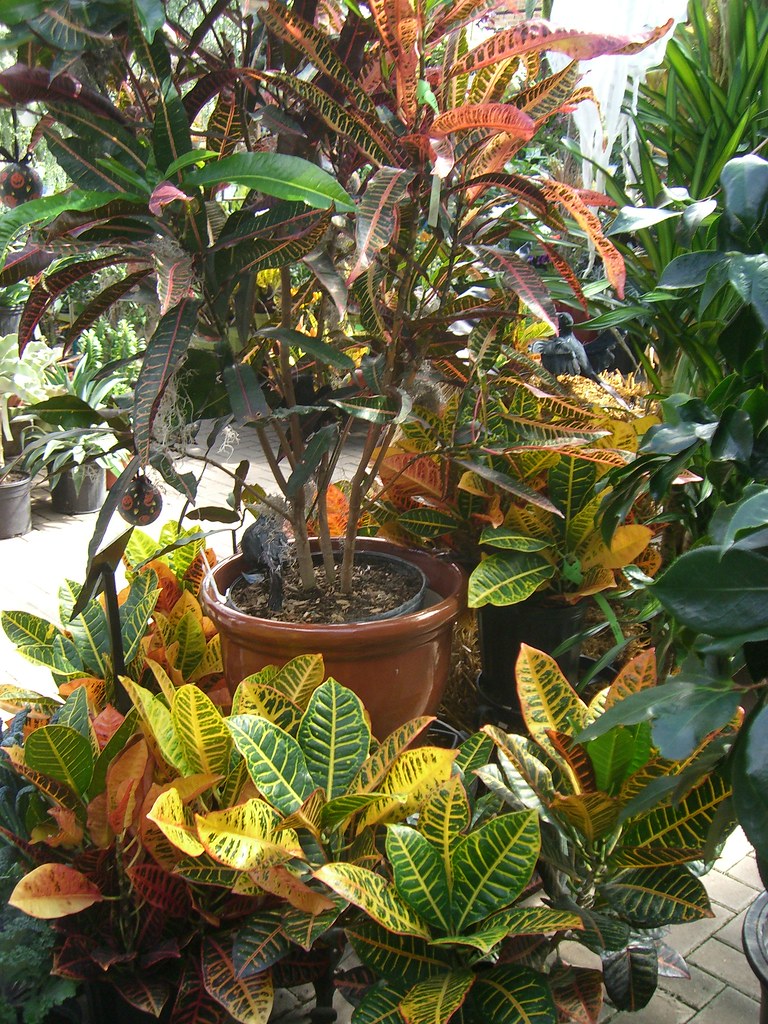 Gethsemane Garden Center, Chicago 2570 kerry photographs Flickr