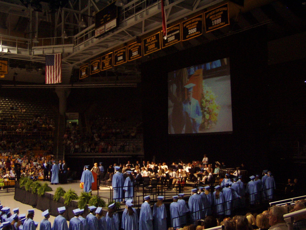 P5300009 Tiger Lily Flickr
