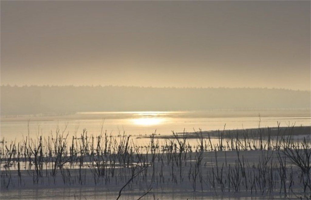 Cedar Bluff This was taken at Cedar Bluff Lake near Wakeen… Flickr