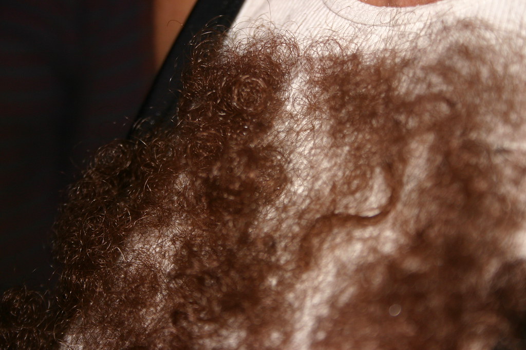 Michelle's chest hair. So gross...but for the record...it'… Flickr