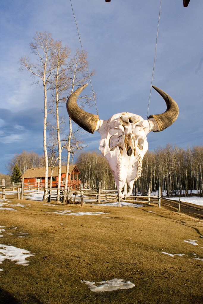 Homeplace Ranch in Alberta, Canada A paradise for horselo… Flickr
