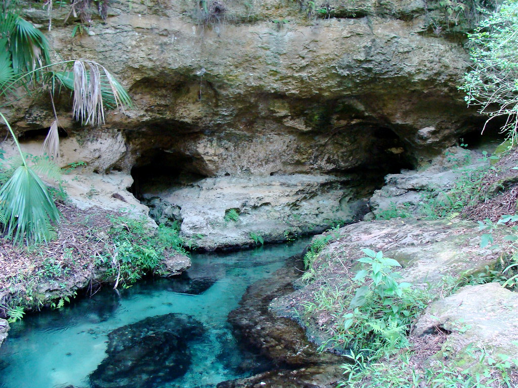 FLApopkaRock Springs Park 01299 (2008 0524) Natural Spri… Flickr