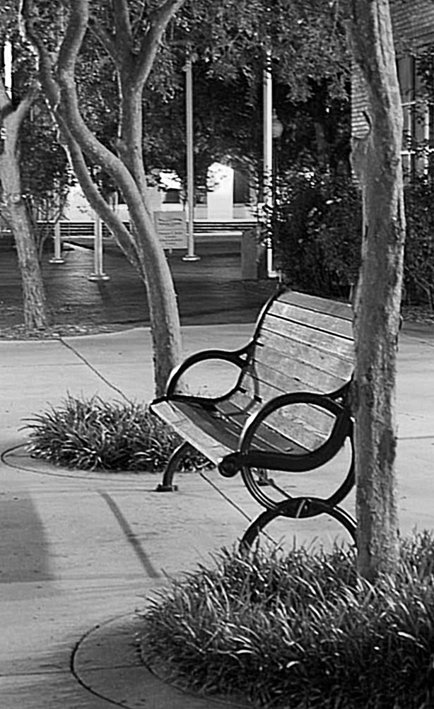 Like a movie scene... Bench on W Indiana Ave in Downtown D… Flickr