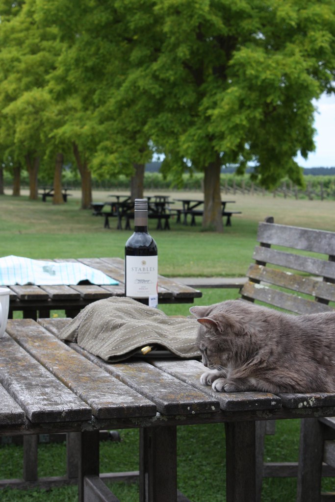 Ngatawara Vineyard Hawkes Bay Wine and Cheese at the vin… Flickr