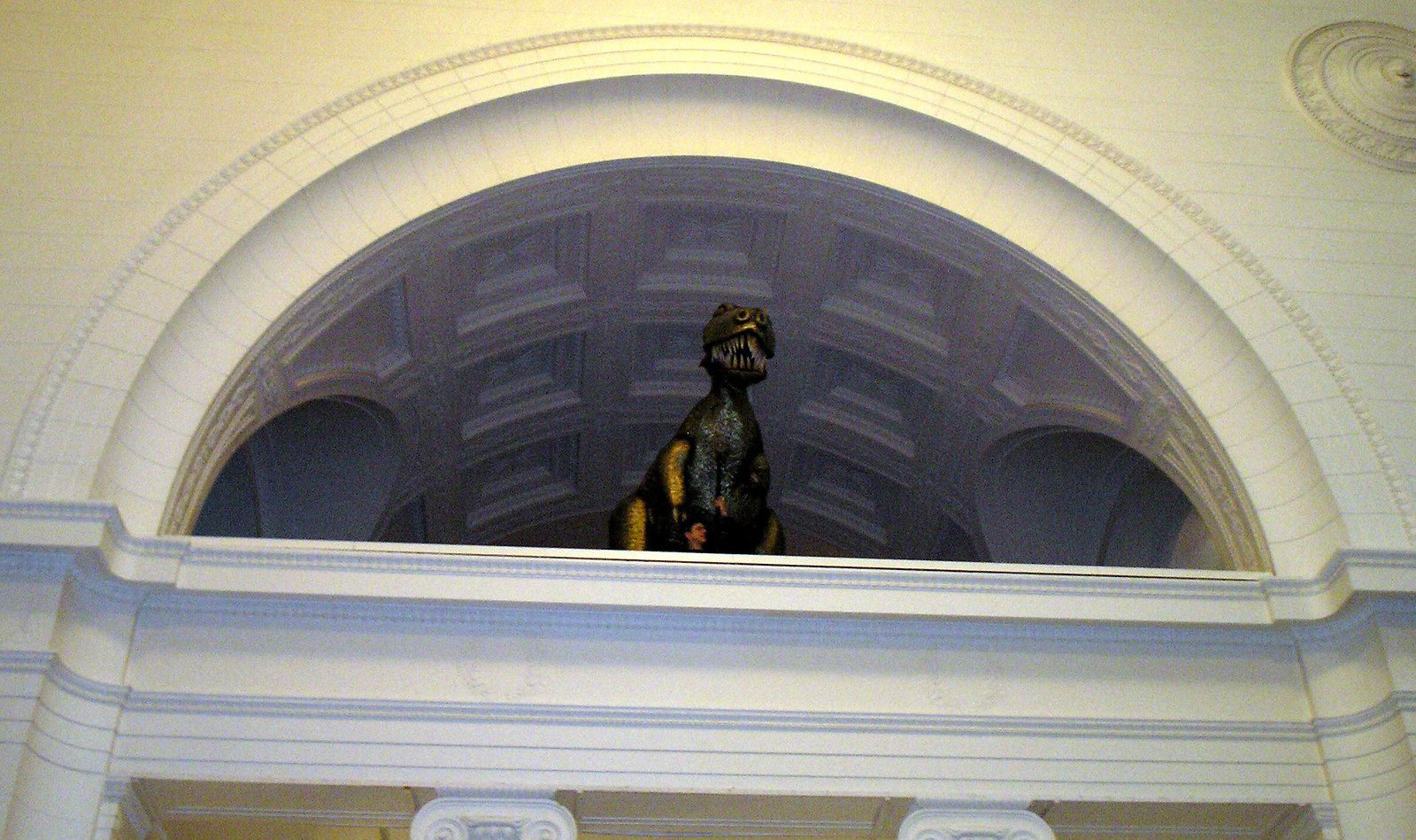 Field Museum MembersOnly Nights Flickr