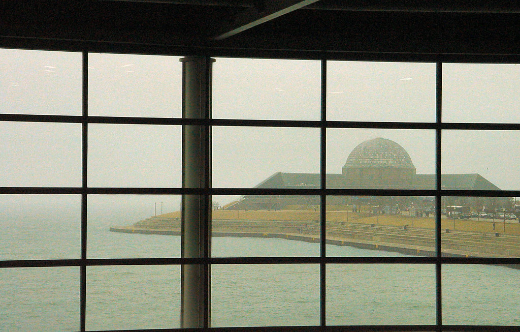 Chicago Inside Shedd Aquarium looking at Flickr