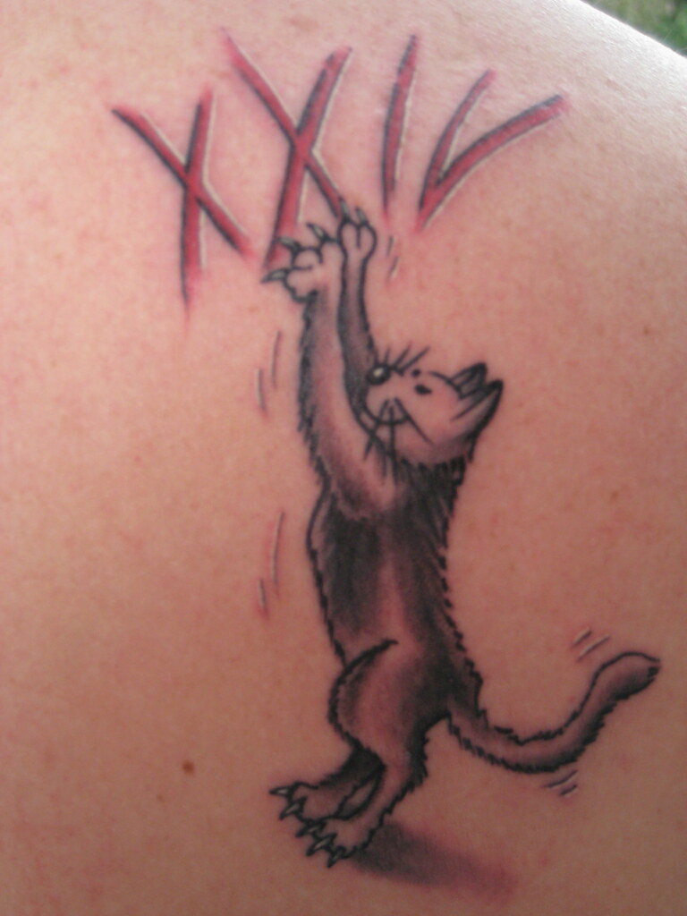 Cat 24 | My Tattoo, Cat Scratching My Number.... | John G | Flickr 1024_x_768_jpg