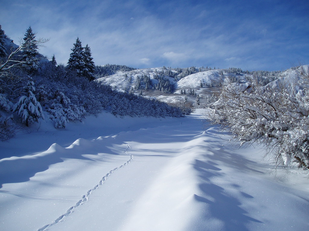 Roxborough Park in Snow_08 Roxborough State Park, Colorado… Flickr