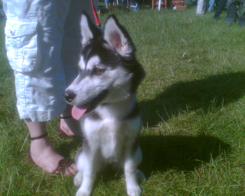 Leamington Spa Rugby Club Car Boot