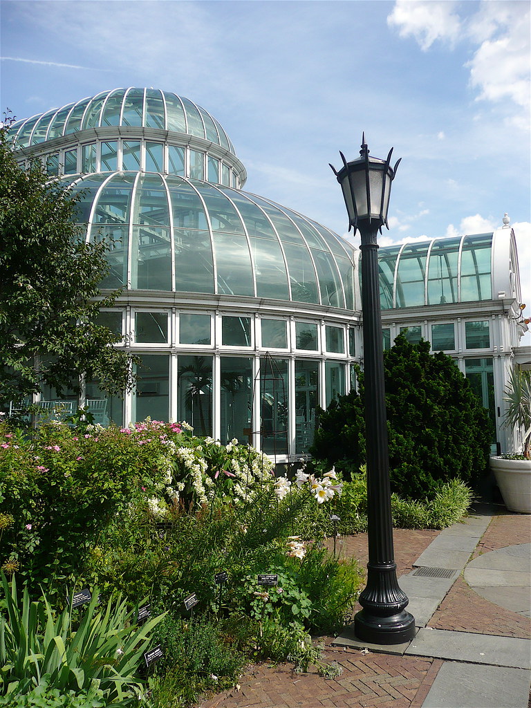Brooklyn Botanic Garden Greenhouse Jane Dickson Flickr