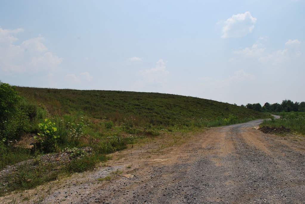 Little Indian Creek WMA Brian Powell Flickr