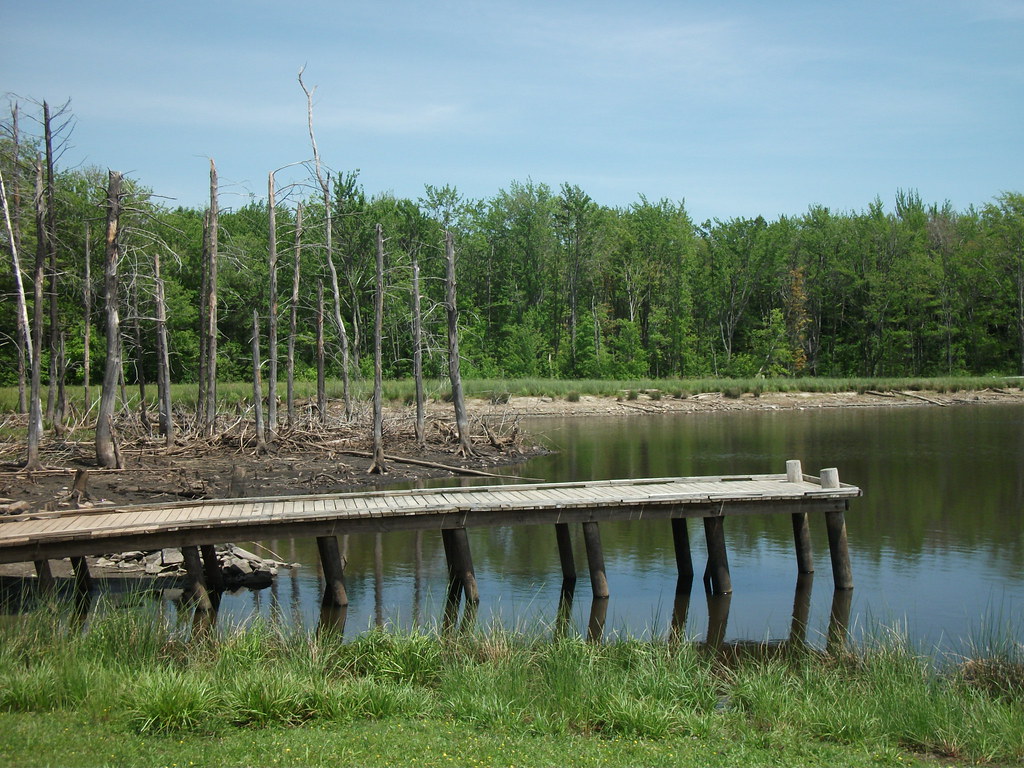 Looking Glass Pond West Fulton, New York Looking Glass P… Flickr