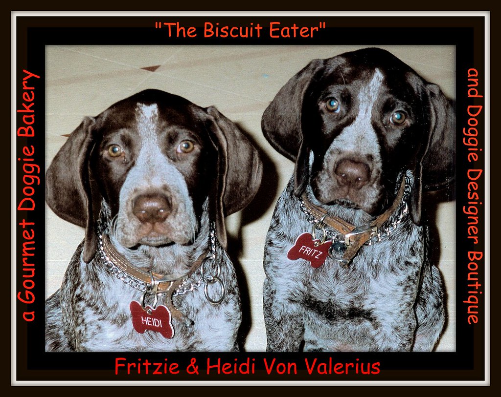 The Biscuit Eater A Gourmet Doggie Bakery and Designer Fas… Flickr