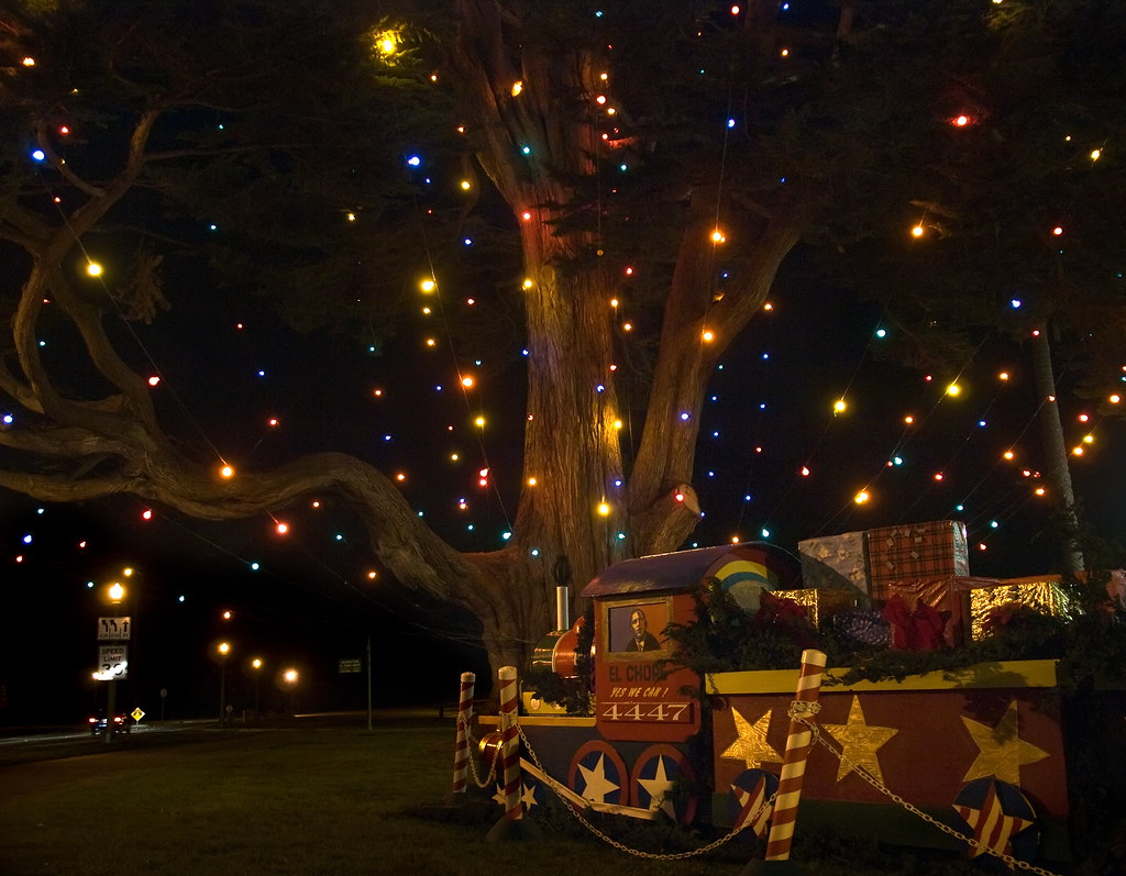 Uncle John's Tree Holiday Lights In Golden Gate Park, Sa… Flickr